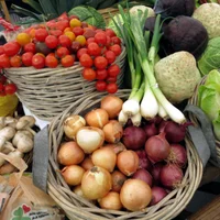 Fresh Vegetables Exporter from India