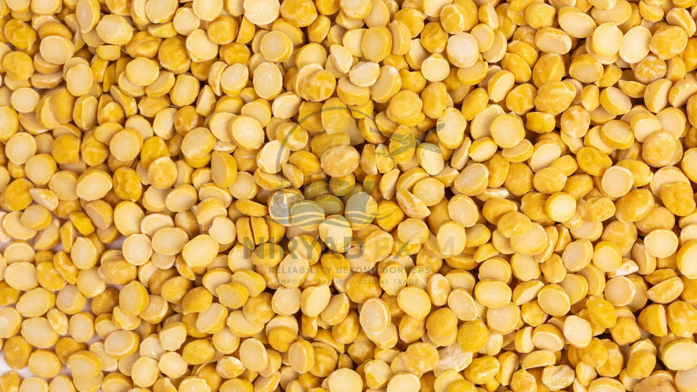 Premium Chana Dal Exporter from India