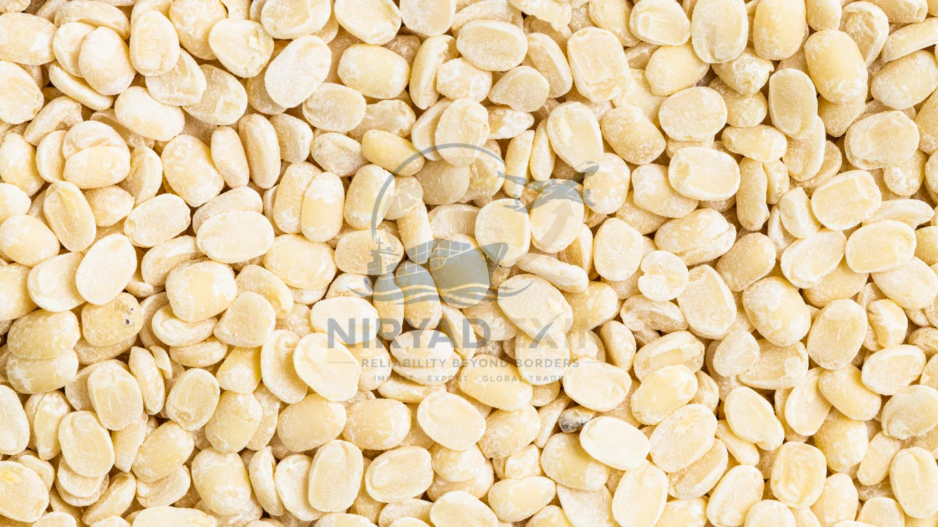 Premium Urad Dal Exporter from India